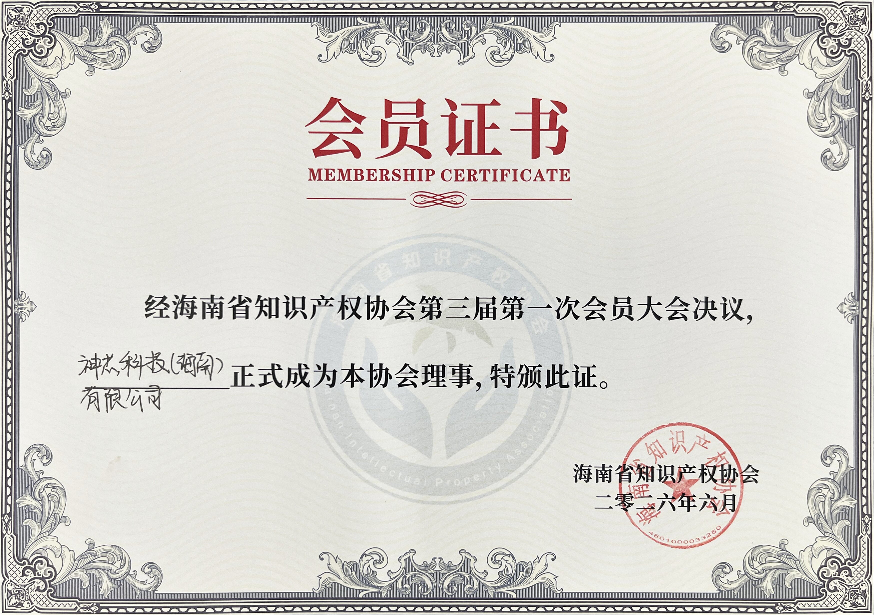 08 海南省知识产权协会理事会会员_proc.jpg